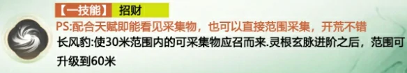 长风豹玩法攻略大全