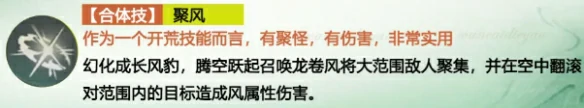 长风豹玩法攻略大全