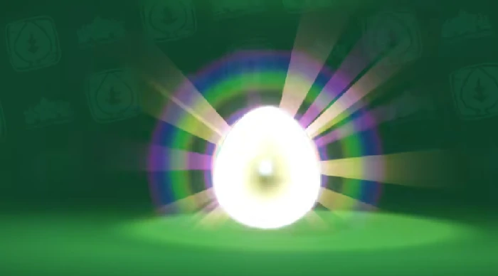 宠物蛋送别人方法