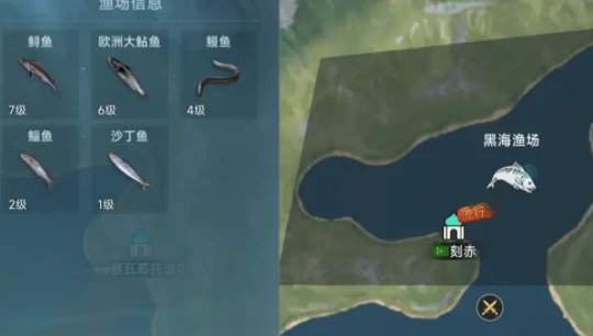 渔场鱼类分布一览