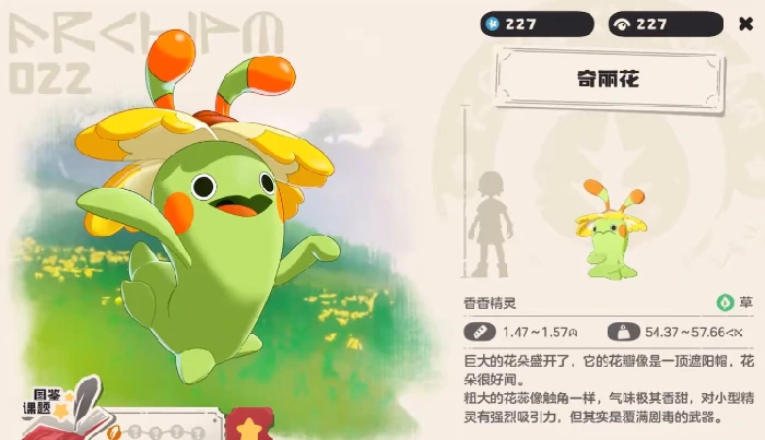 奇丽花介绍