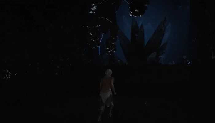 黑暗森林区域攻略