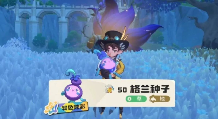 种子收集攻略