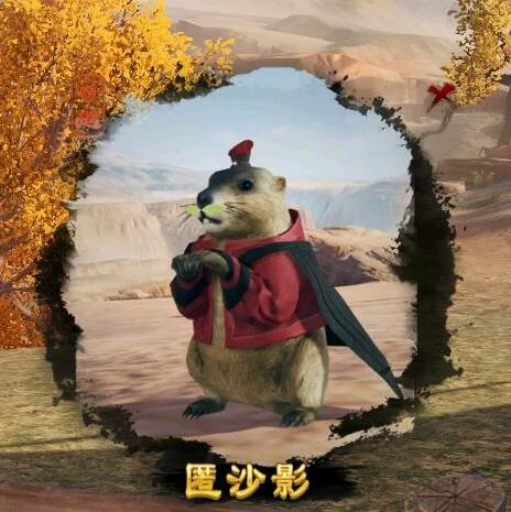 匿沙影宠物奇遇攻略