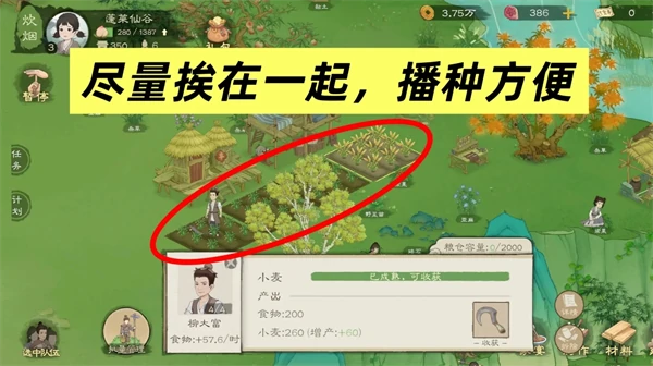 新手必看十条避坑攻略