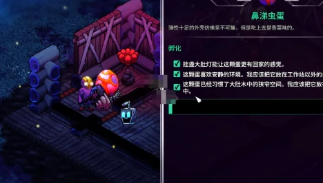 宠物蛋孵化方法