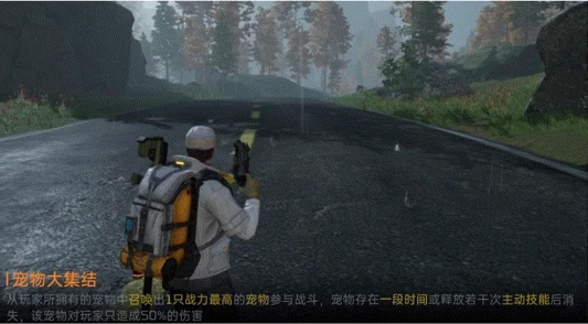 全新火种导师钟文介绍