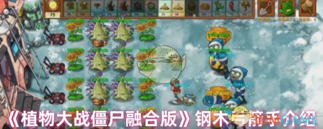 钢木弓箭手介绍