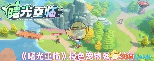 橙色宠物强度排行