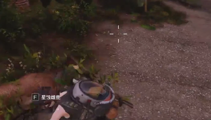 鹿皮获取攻略
