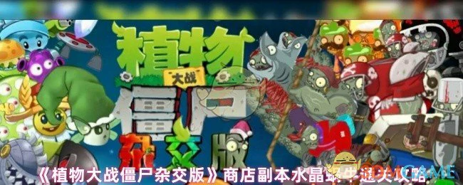 商店副本水晶蜗牛通关攻略