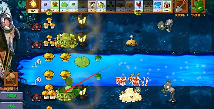 三叶南瓜掌属性介绍