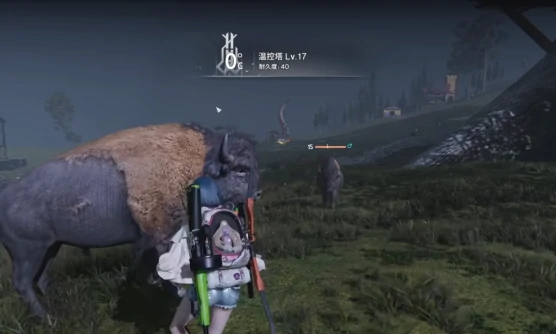 野牛捕捉攻略