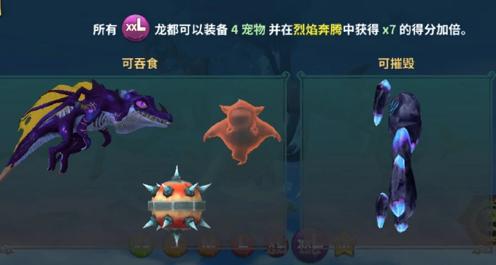 xxl型各龙对比一览