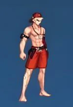 夏日泳装全职业外观一览