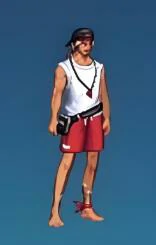 夏日泳装全职业外观一览