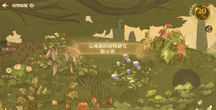加分的图鉴介绍及获取方法