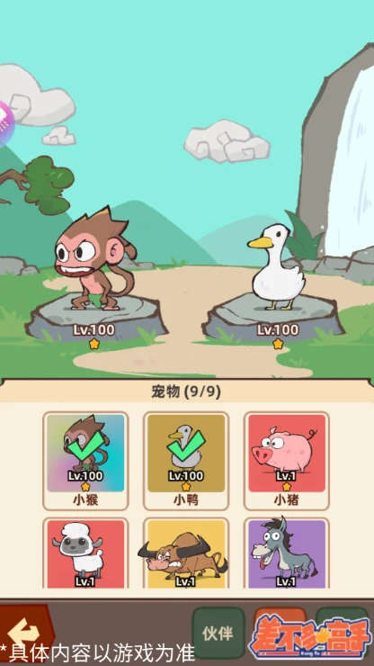 宠物养成攻略
