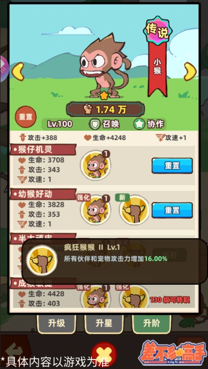宠物养成攻略