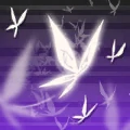 时曦