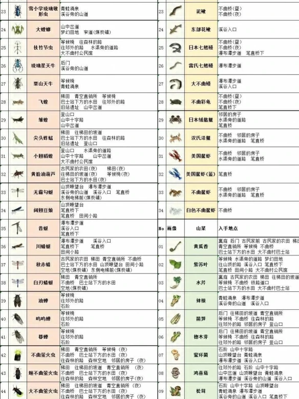 螳螂捕捉攻略