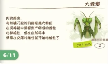 螳螂捕捉攻略