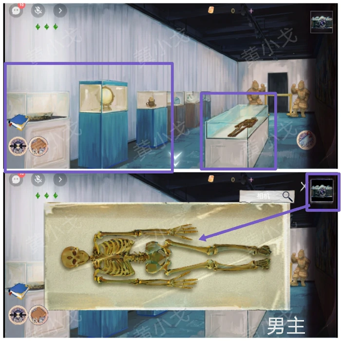 第二章塔尼视角