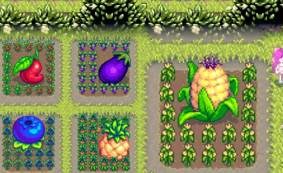 巨大作物种植方法