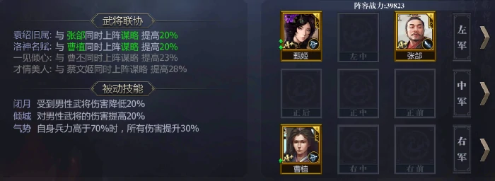 武将搭配阵容技巧分享