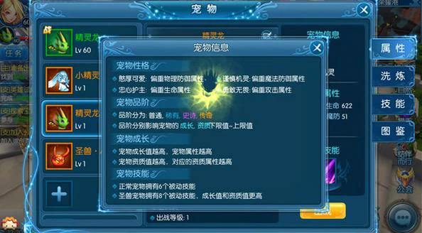 宠物系统介绍