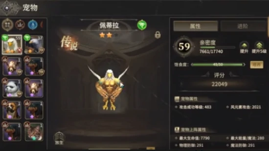 战士宠物推荐攻略