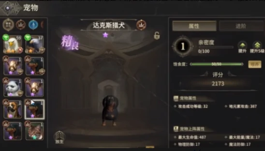 战士宠物推荐攻略