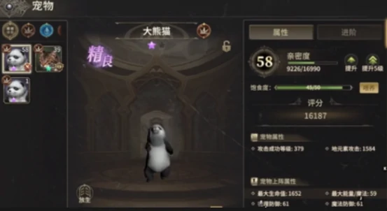 战士宠物推荐攻略