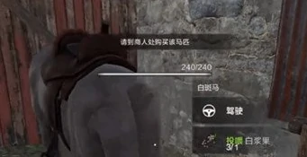 马匹寻找攻略