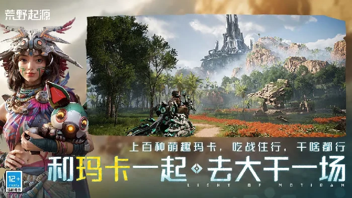 宠物升星攻略