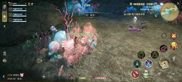 锐牙长须豹打法攻略