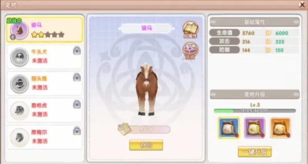 宠物获取途径及培养攻略