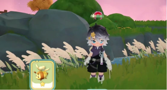 小橘蜂捕捉攻略