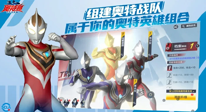 装备搭配技巧一览