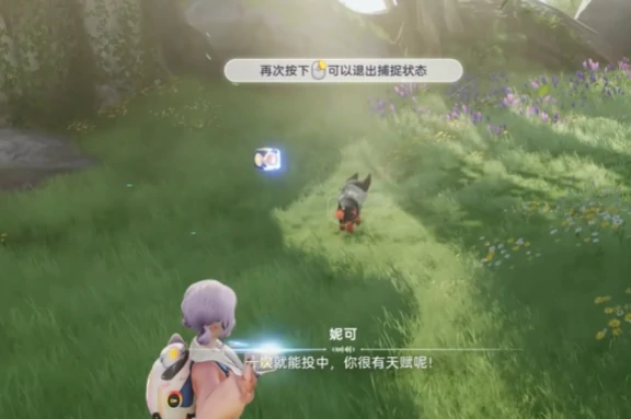 抓宠物方法