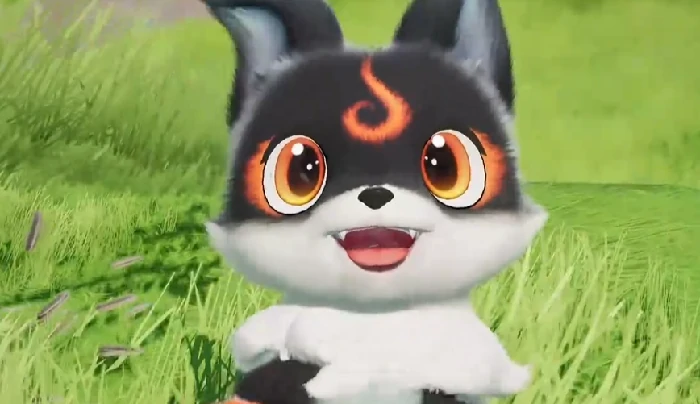 小炭犬介绍