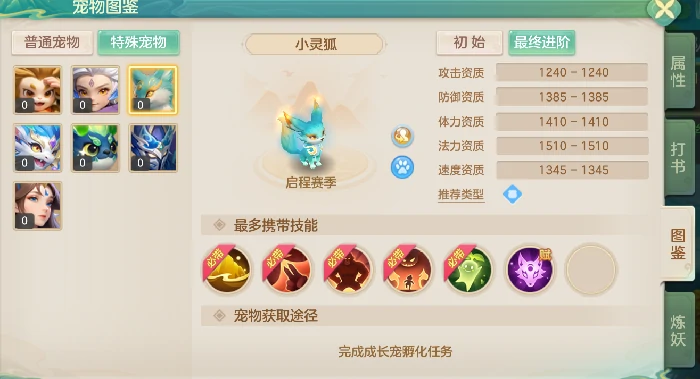 小灵狐成长进阶路线
