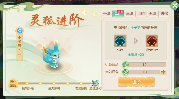 小灵狐成长进阶路线