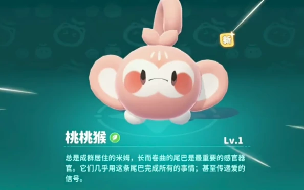 食物一览