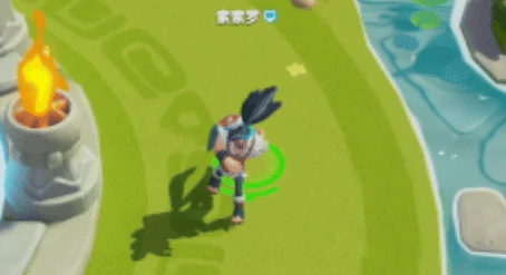 索索罗介绍
