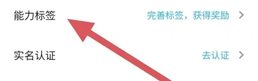 能力标签查看位置