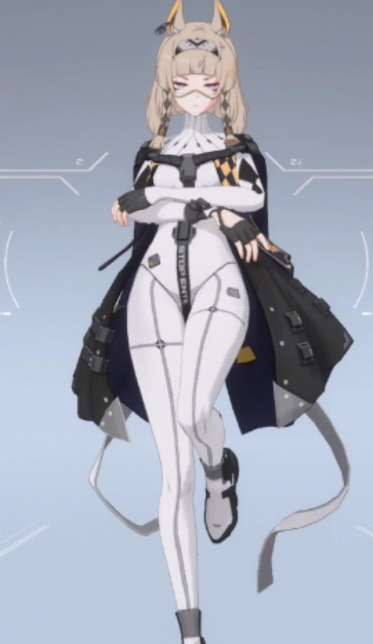 沙猫介绍