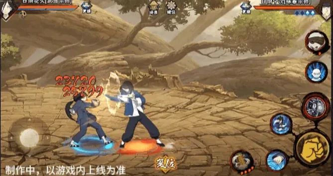 武当花火介绍