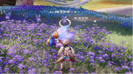 女巫草介绍