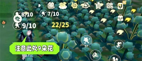 提升苍翠小花产量方式